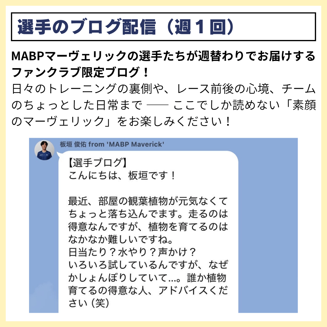 【ファンクラブ】サポータープラン - MABPマーヴェリック