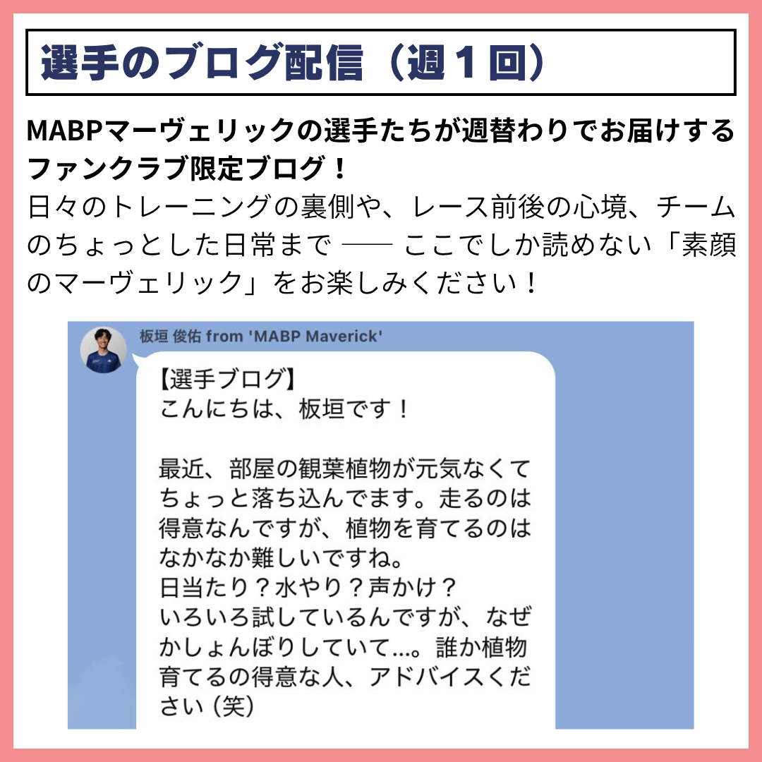 【ファンクラブ】エールプラン - MABPマーヴェリック